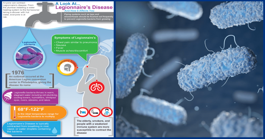 microorganisms in water