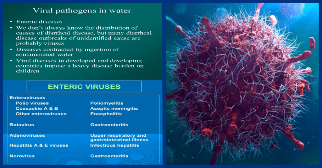 viruses in water